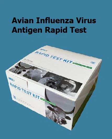 Xét nghiệm nhanh kháng nguyên cúm Avain