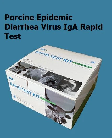 Xét nghiệm nhanh IgA về virus tiêu chảy ở heo (PEDV-IgA)